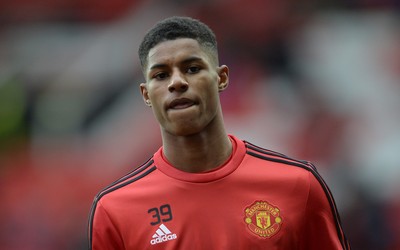 9D体育-南非板球国家队训练时被牛群打扰